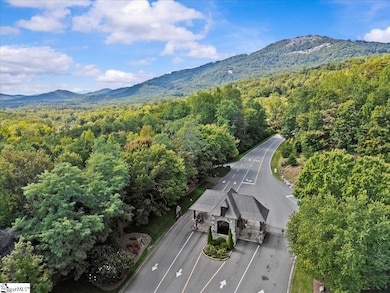 19 Grosbeak Way, Landrum, SC 29356 - photo 4