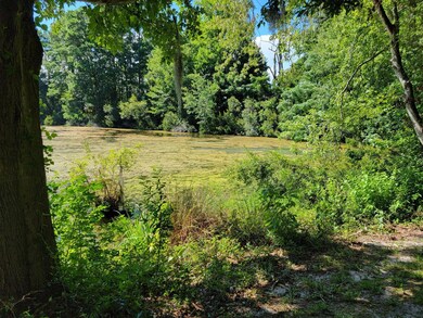Beaver Pond