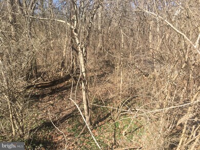 0 Howellsville Rd unit VAWR139552, Unknown, VA 22630 - photo 4