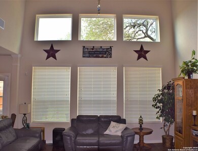 10733 Barnsford Ln, Helotes, TX 78023 - photo 7