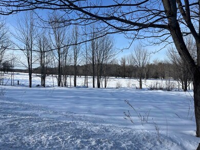 rt133treesfield1