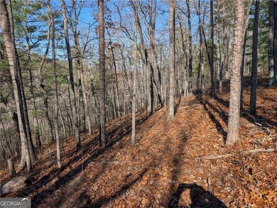 1400 Foxhound Trail NE, Ranger, GA 30734 - photo 4