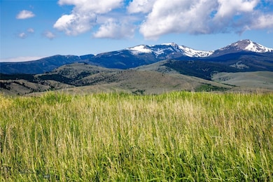Tract 3 and 4 Shining Mountains W, McAllister, MT 59740 - photo 4