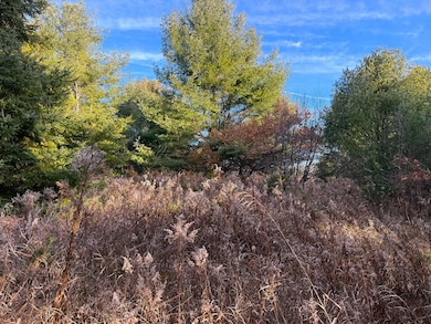 0 Brevort Lake Rd unit 25-1160, Moran, MI 49760 - photo 7