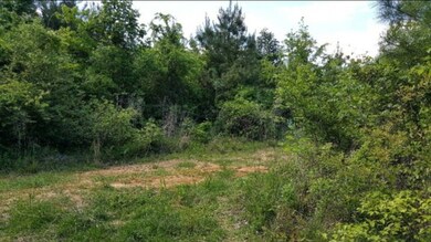 1515 Sagewood Ln NW, Brookhaven, MS 39601 - photo 2