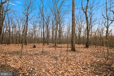 2630 Hawks Hill Ln, Keedysville, MD 21756 - photo 4