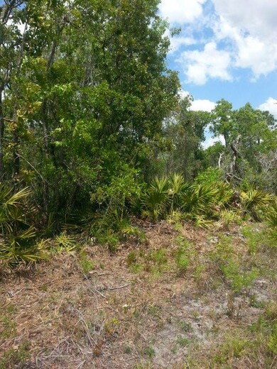 0 Seameadows Dr unit 331342, Perry, FL 32348 - photo 6