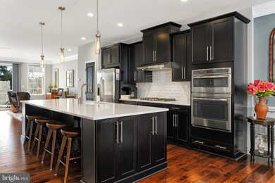 25021 Cambridge Hill Terrace, Chantilly, VA 20152 - photo 5