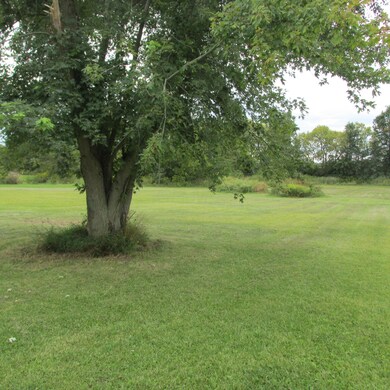 TREED LAWN