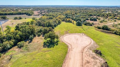 137 Aslan Rd, Poolville, TX 76487 - photo 2