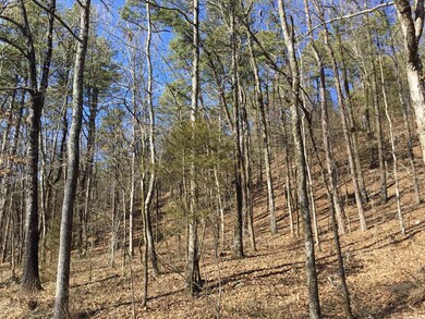 0 Higginbotham Rd unit 22020696, Little Rock, AR 72126 - photo 5