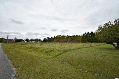 TBD Fox Chase Dr, Conway, SC 29527 - photo 7