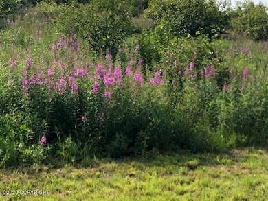 thumbnail_IMG_4283