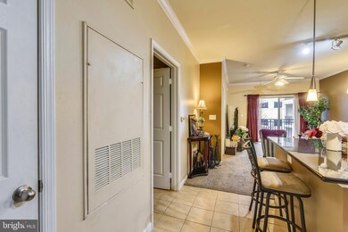 Bryson At Woodland Park unit 315, Herndon, VA 20171 - photo 5