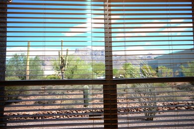 view from all east windows