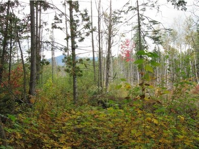 00 Titus Hill Rd, Colebrook, NH 03576 - photo 3