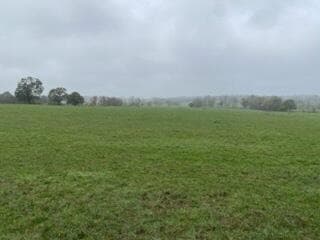 000 Farm Road 2000, Aurora, MO 65605 - photo 5