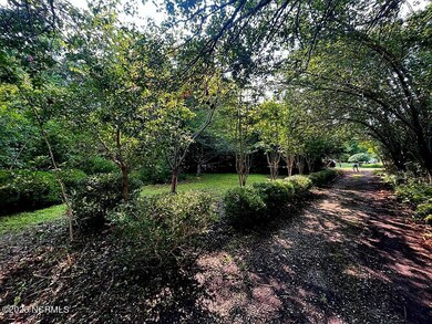 Beautiful landscaping