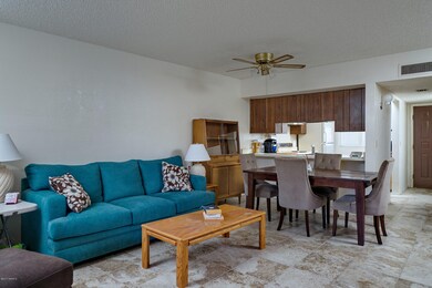 Living Room into Dining