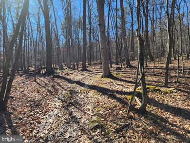 LOTS 8 & 9 Howard Delawder Ln, Mathias, WV 26812 - photo 7