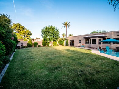 Huge Grass Yard