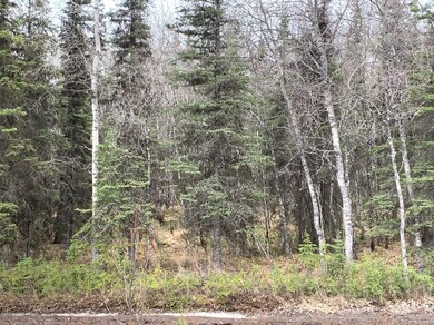 IMG_0847