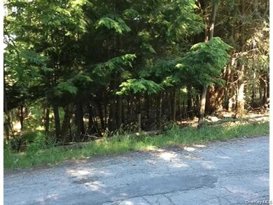 0 Floral Dr unit KEY940546, Thompson, NY 12701 - photo 5