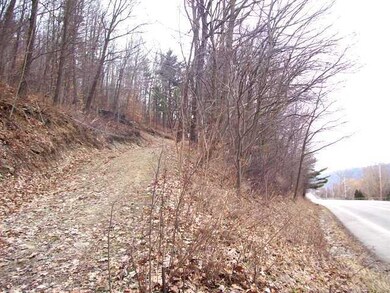 Land. Driveway from the road.