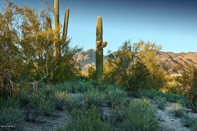 Great Lot in Hacienda Del Sol
