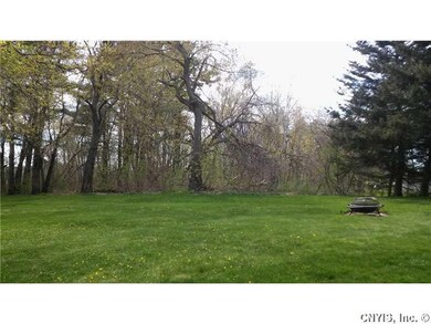 Backyard.