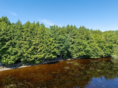 lot 5 Black Cat Point, Princeton, ME 04668 - photo 7