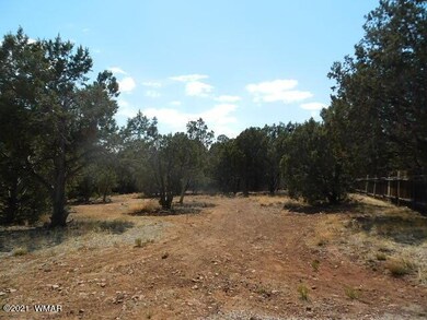 0 6th Place, Show Low, AZ 85901 - photo 6