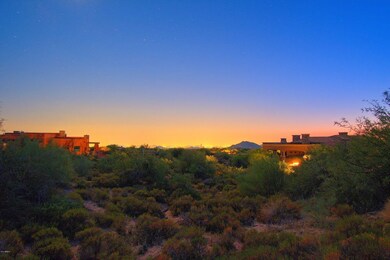10789 E Falling Star-MLS_Size-005-9-Lot