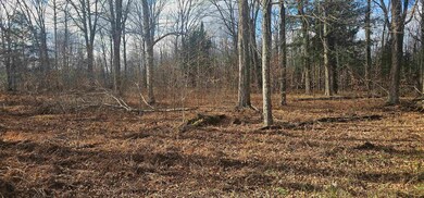 0 Chip n Dale Dr, Pickerel, WI 54465 - photo 4