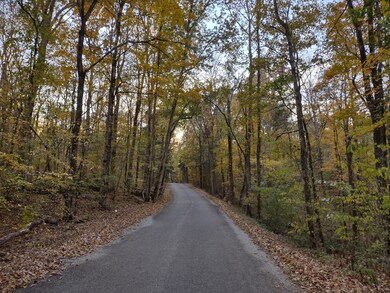 0 Milltown Rd unit RTC2453689, Lewisburg, TN 37091 - photo 5