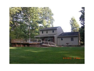 Yard/Garden. Fantastic Yard!