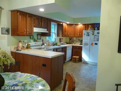 7349 Eggbornsville Rd, Rixeyville, VA 22737 - photo 5