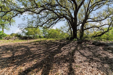 View of local wilderness
