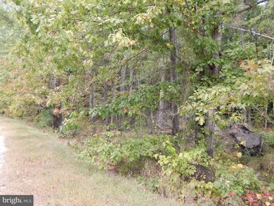 6509 Lawyers Rd, Spotsylvania, VA 22551 - photo 4