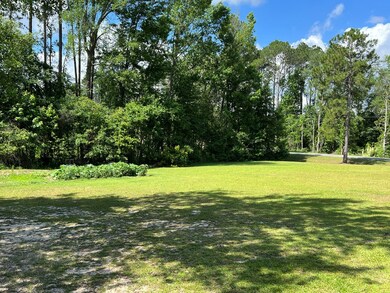 1305 Cedar Crossing Vidalia Rd, Vidalia, GA 30474 - photo 7