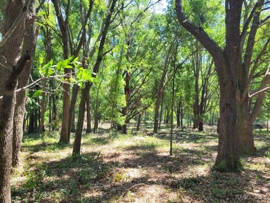 2514 Eisenhower St, Inverness, FL 34453 - photo 5