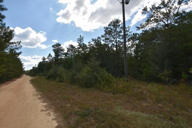 3rd Avenue Lots 03