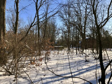 NE Lot Line
