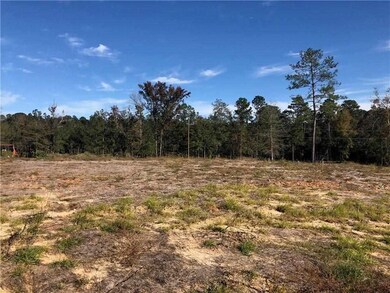 4565 Hathern Dr, Pineville, LA 71360 - photo 2