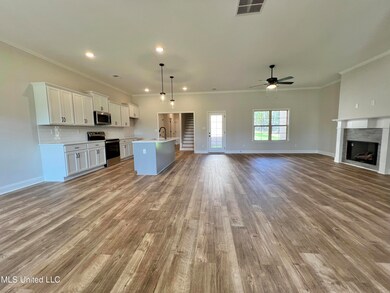 2134 Scott Meadows Ln, Hernando, MS 38632 - photo 5