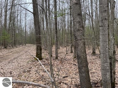 VL W Gaukel Rd, Forest Township, MI 49651 - photo 2