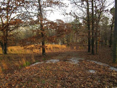 181 Quail Cove, Heber Springs, AR 72543 - photo 4