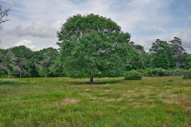 17718 Tranquil Ln, Cat Spring, TX 78933 - photo 2