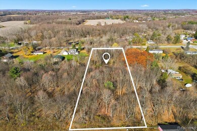 0 Imlay City Rd unit 20251054353, Lapeer, MI 48446 - photo 6