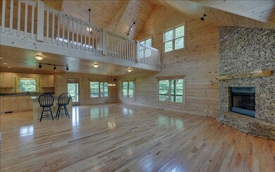 308 Indian Village Rd, Blue Ridge, GA 30513 - photo 4